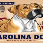 carolina dog health problems