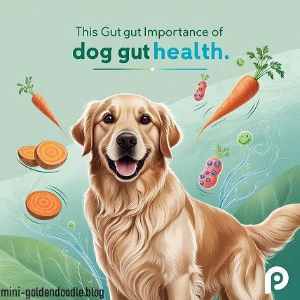 dog gut health