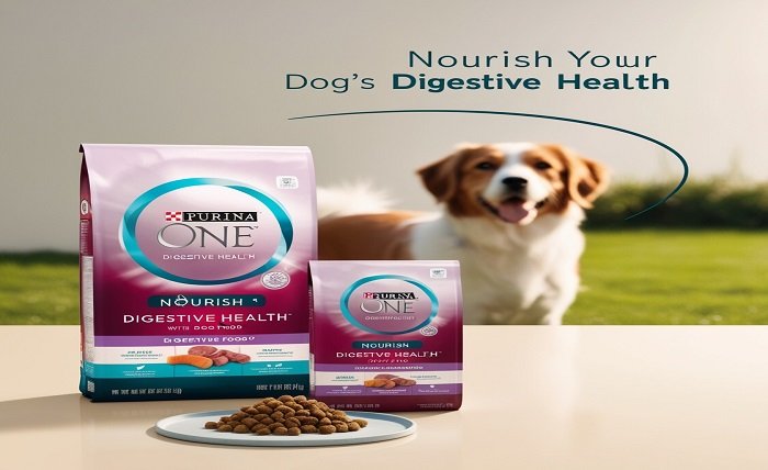 purina one digestive health dog food